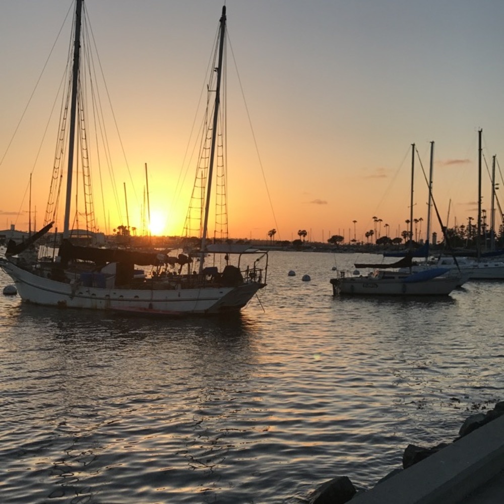 Meet your Posher, Susi